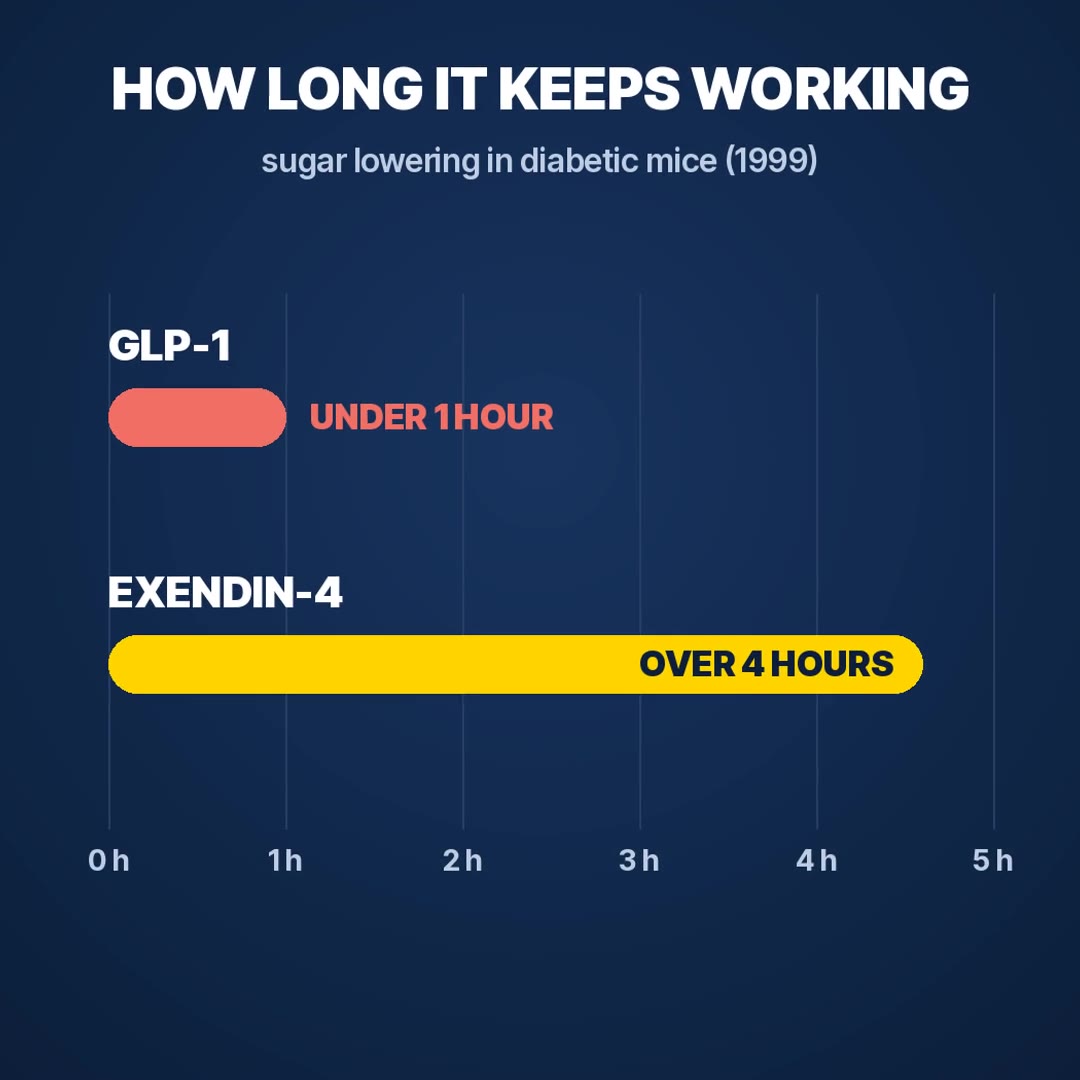 Explainer: GLP-1 works under one hour in mice, exendin-4 more than four hours